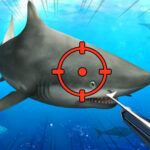 Hunter Underwater Spearfishing