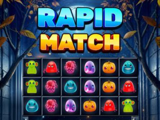 Rapid Match